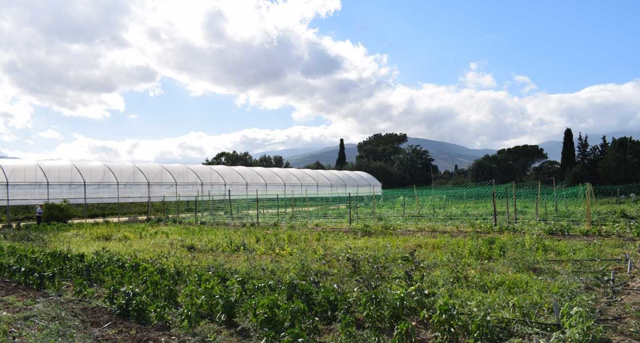 Terreni azienda agricola cantali